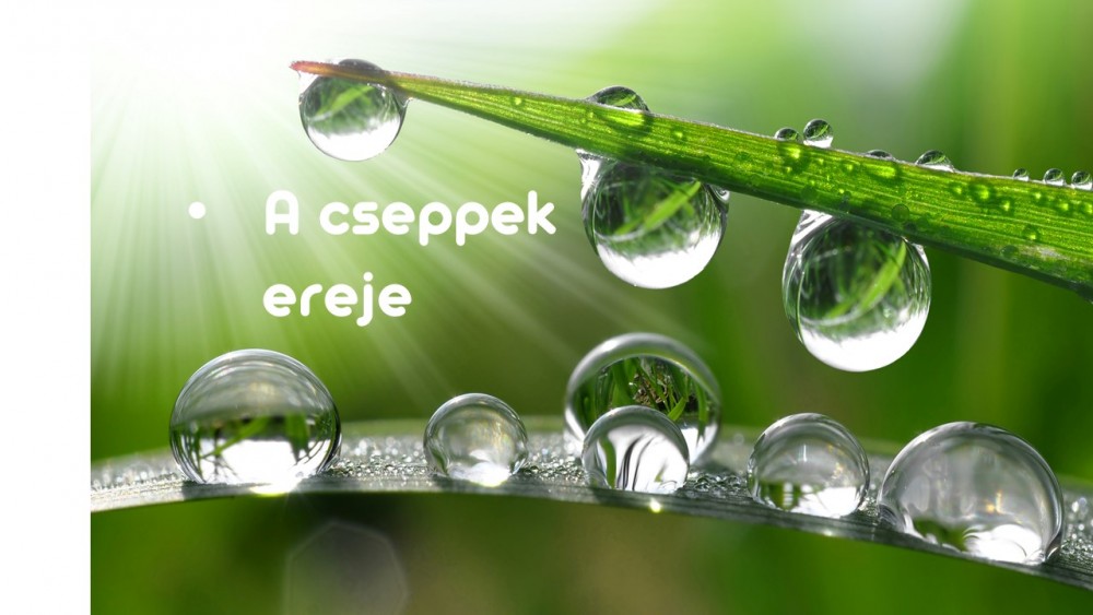 Szeretet cseppek